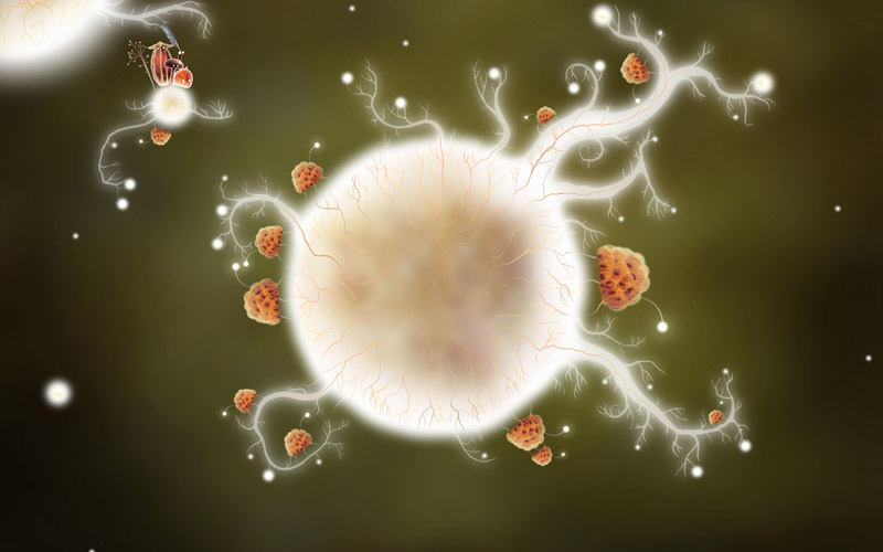 botanicula