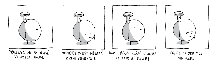 jine svety