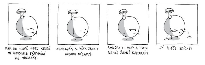 jine svety