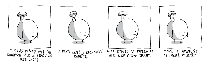 jine svety