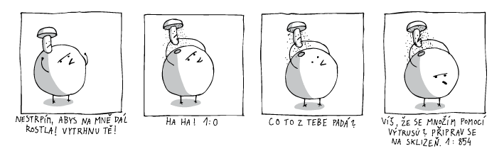 jine svety
