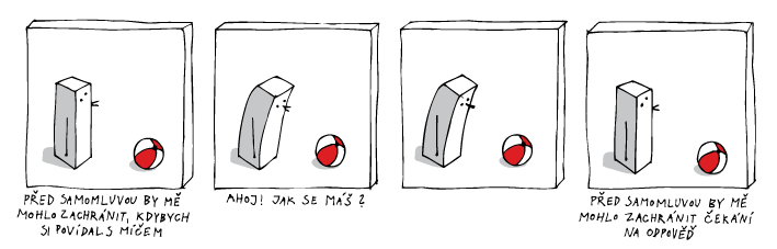 jine svety