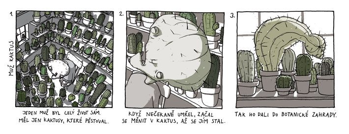 vsednosti